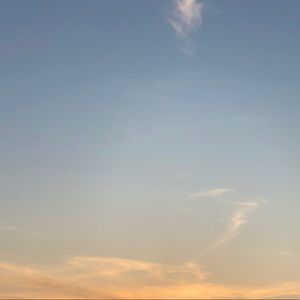 Meet your Posher, Kassidy